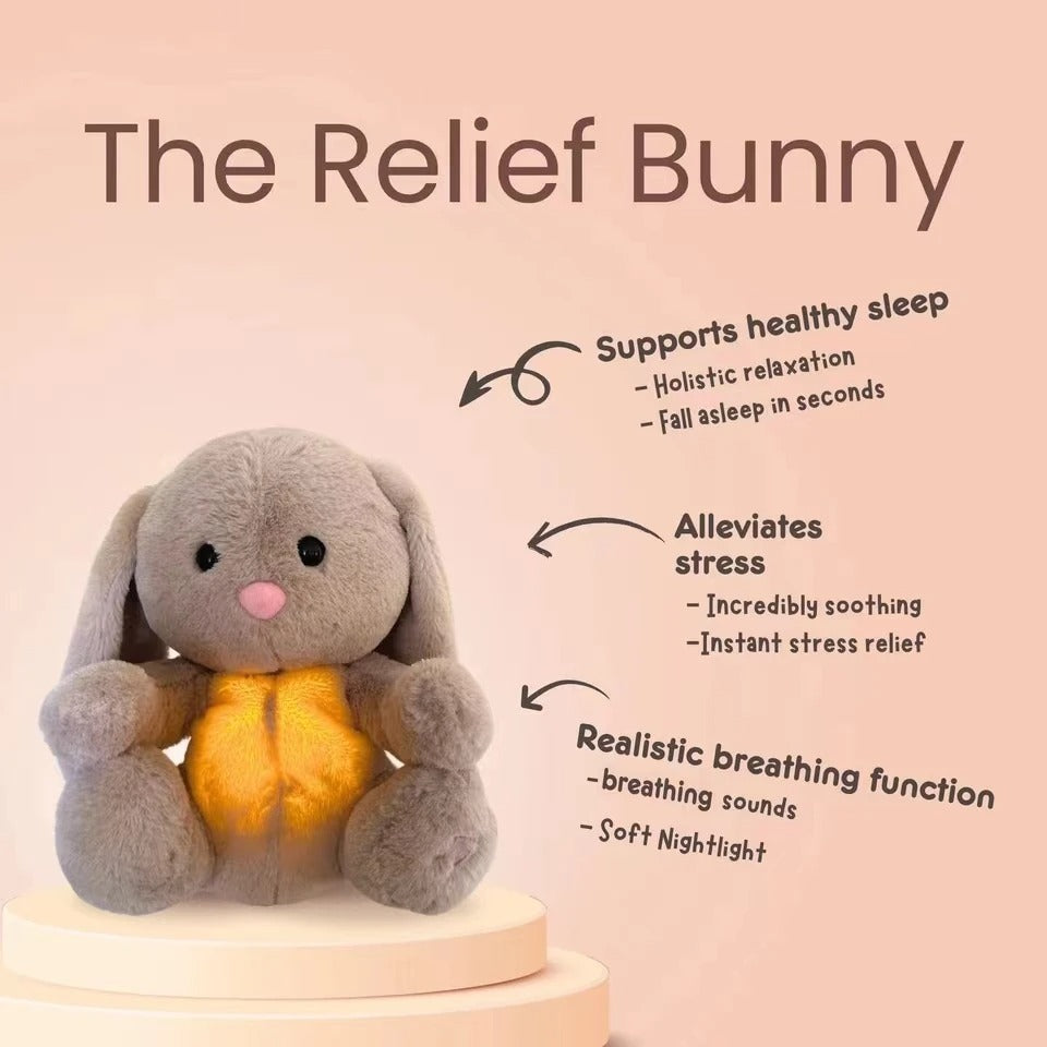 Remy The Relief Bunny