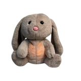 Remy The Relief Bunny