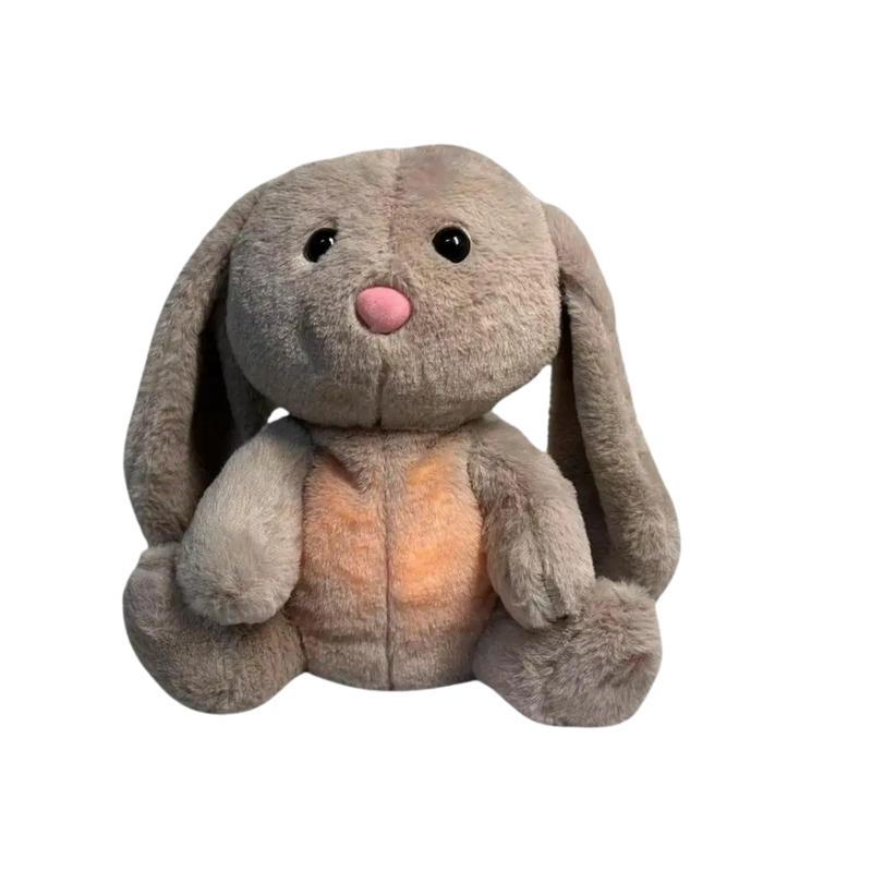 Remy The Relief Bunny