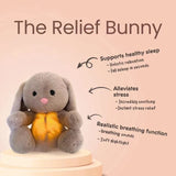 Remy The Relief Bunny