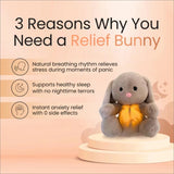 Remy The Relief Bunny