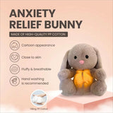Remy The Relief Bunny